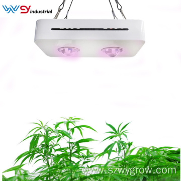 COB Grow Light For Sale 200W